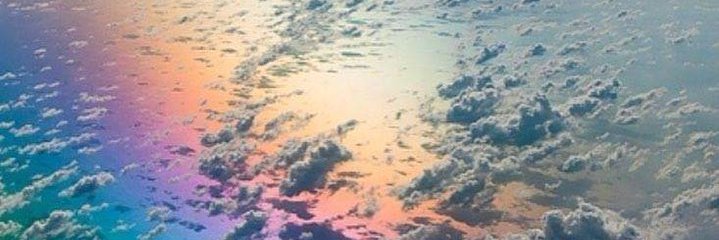 thefoxland's profile banner image