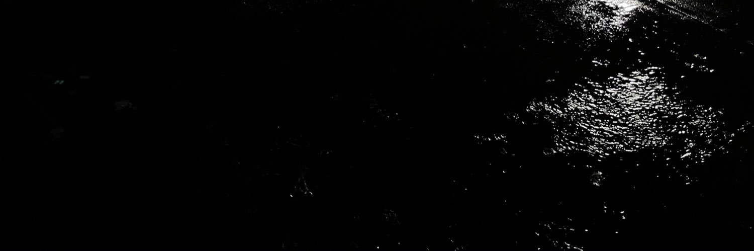 xevao's profile banner image