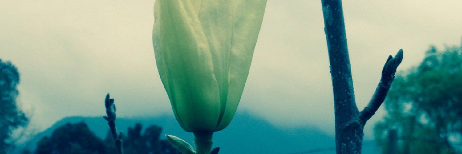 estebanmor3's profile banner image