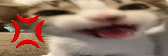 handrehaha's profile banner image