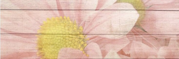 danidl5's profile banner image