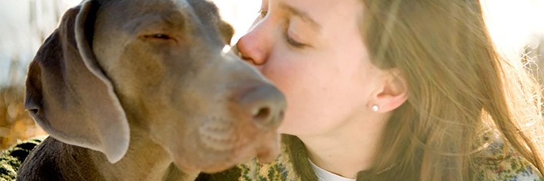 air_pet's profile banner image