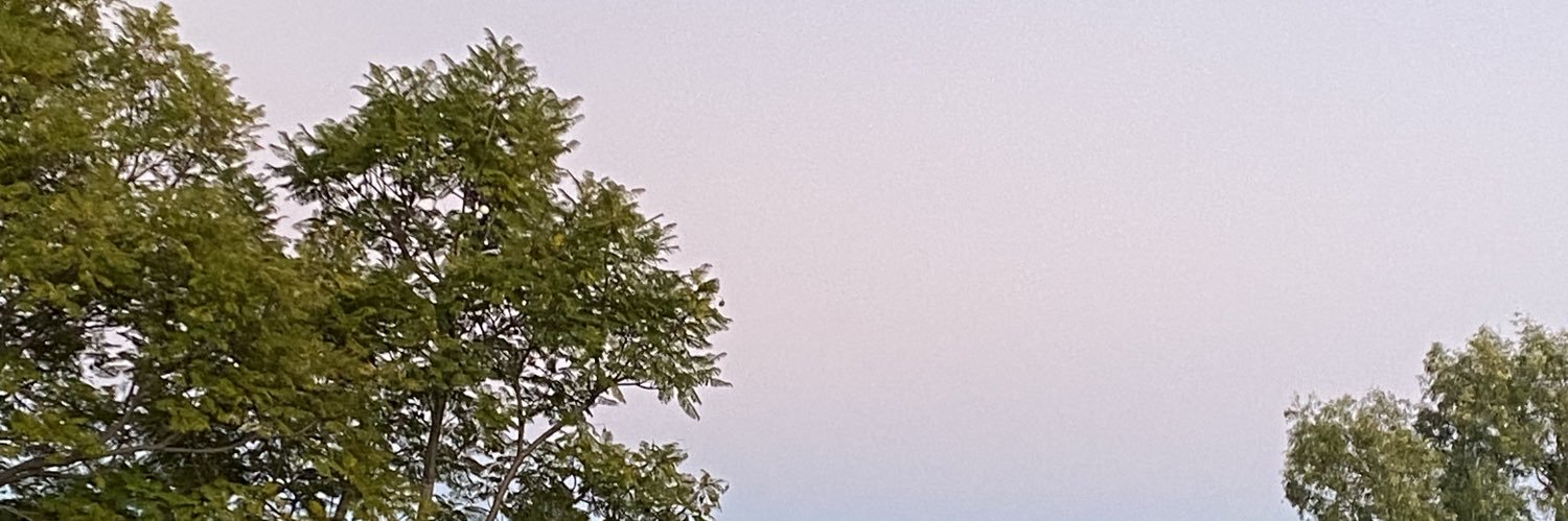 Fimo11's profile banner image