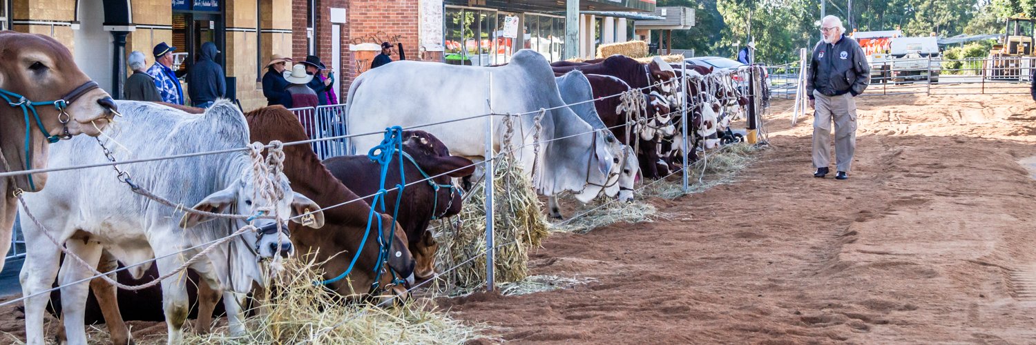 CasinoBeefWeek's profile banner image