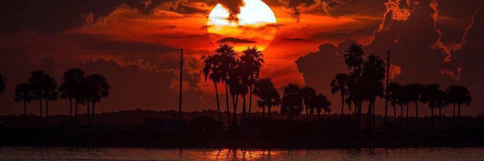 lostfloridian1's profile banner image