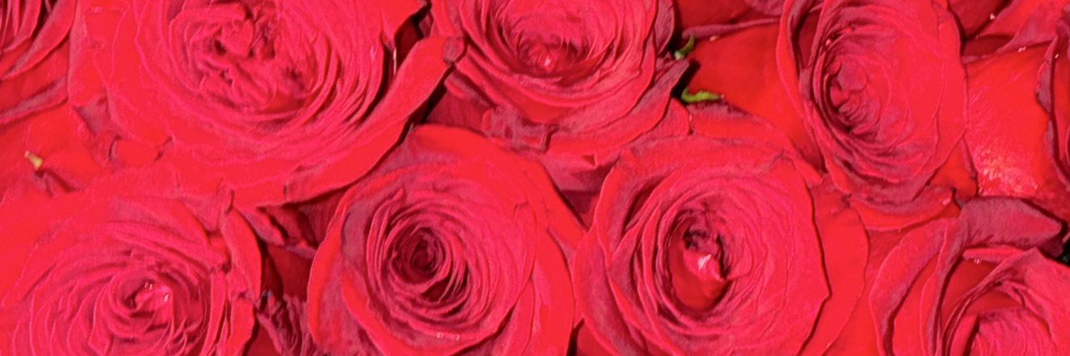 rich_aja's profile banner image