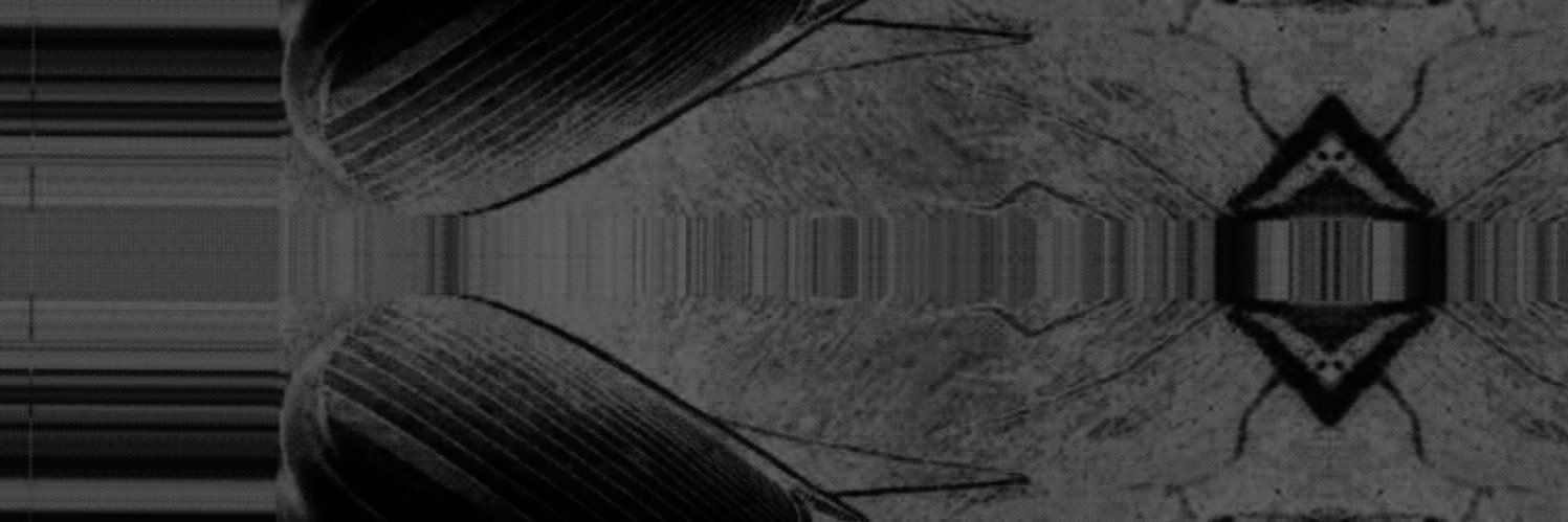 tvnmvn's profile banner image