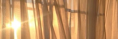 sitombushcut's profile banner image