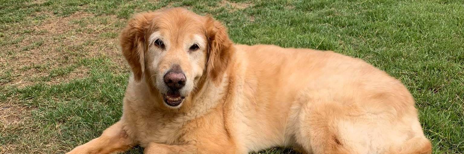 Javy 🇵🇷🇵🇸 #CanesForever banner