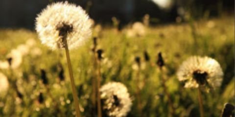 atikaasalmaa's profile banner image