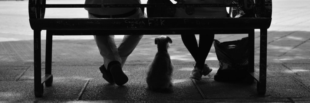 Angeles Romero banner