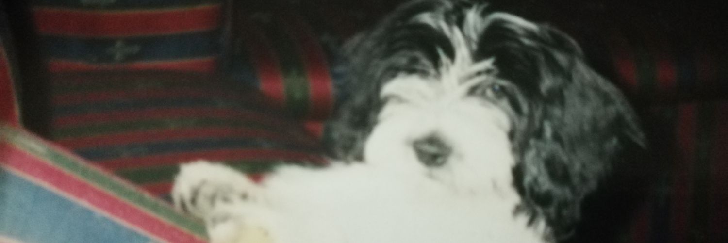 karlacc10's profile banner image