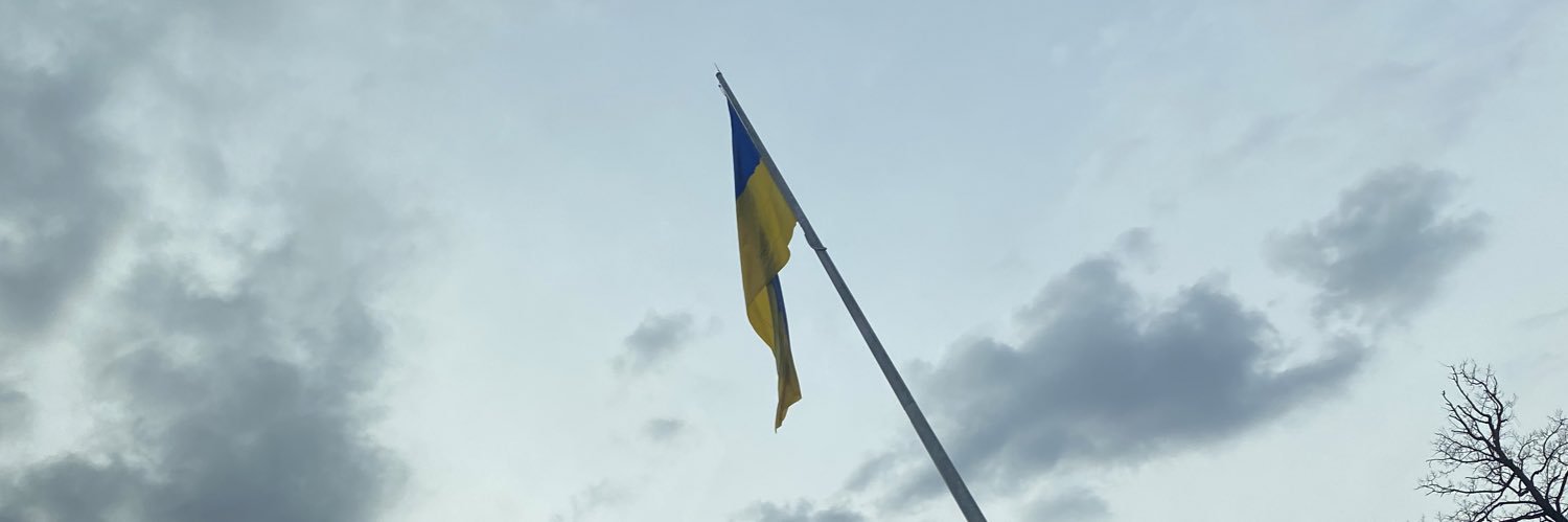 dopomozhemore's profile banner image