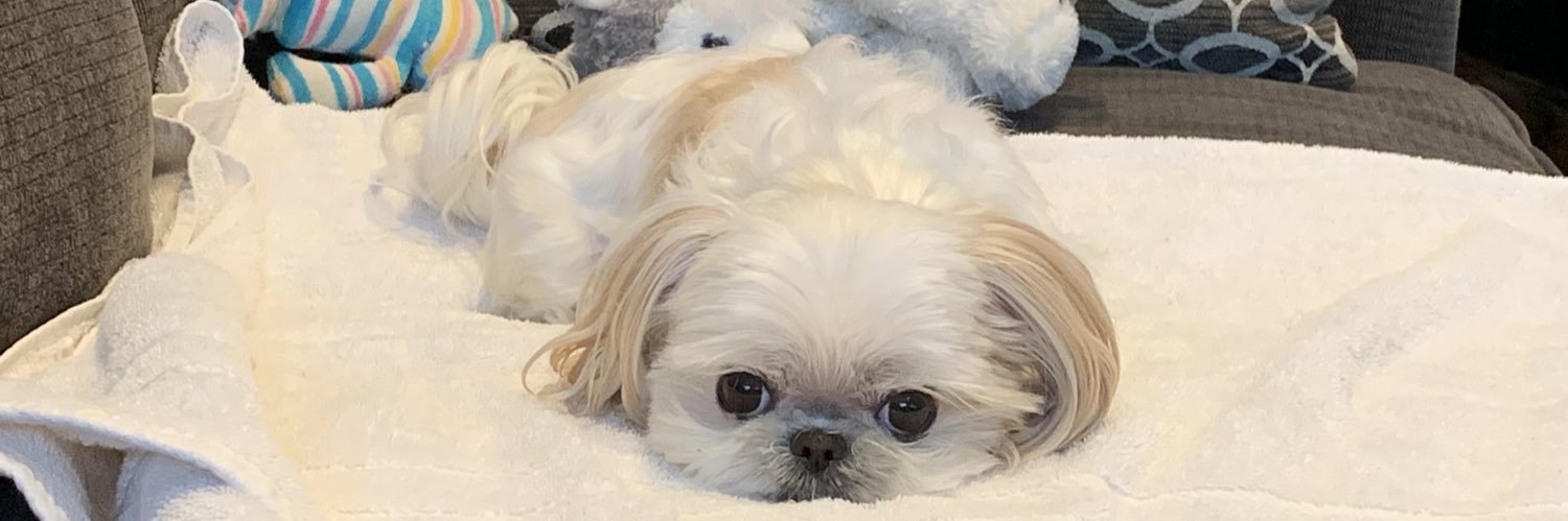 vmberc's profile banner image