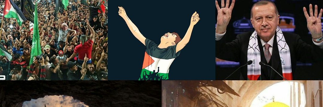 SakaryaSeref's profile banner image
