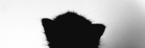 yesnosah's profile banner image