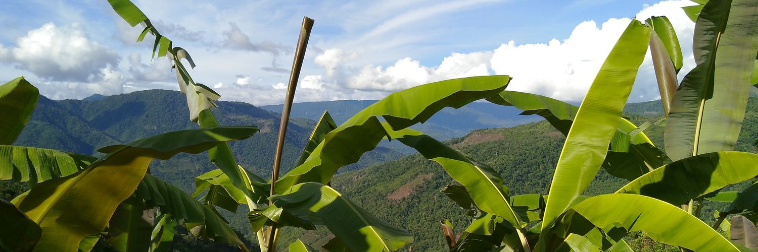 CarlNetwalker's profile banner image