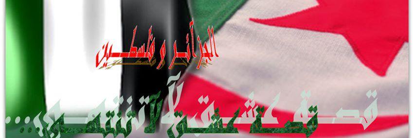 amira_douce's profile banner image