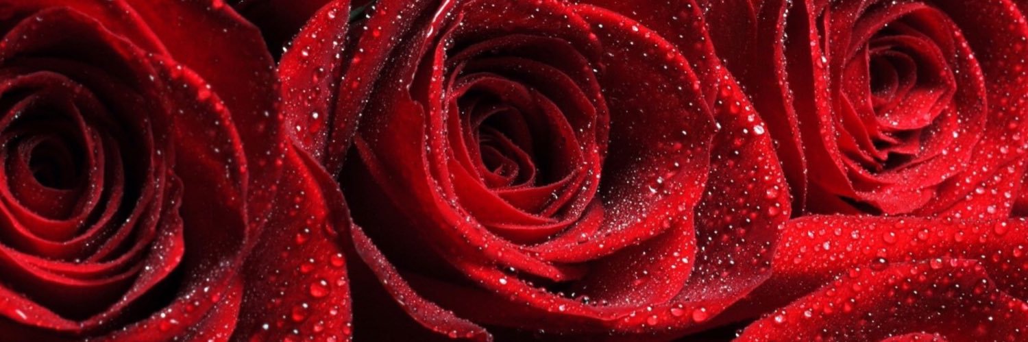 Gypsy_Cinnamon's profile banner image