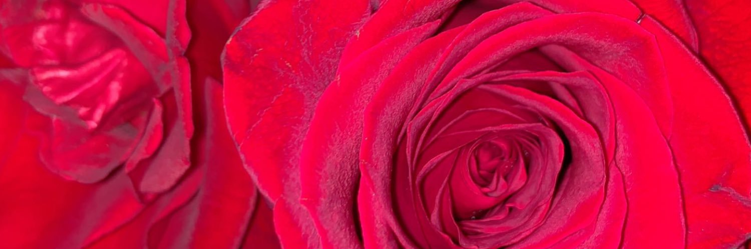 natali_alba's profile banner image