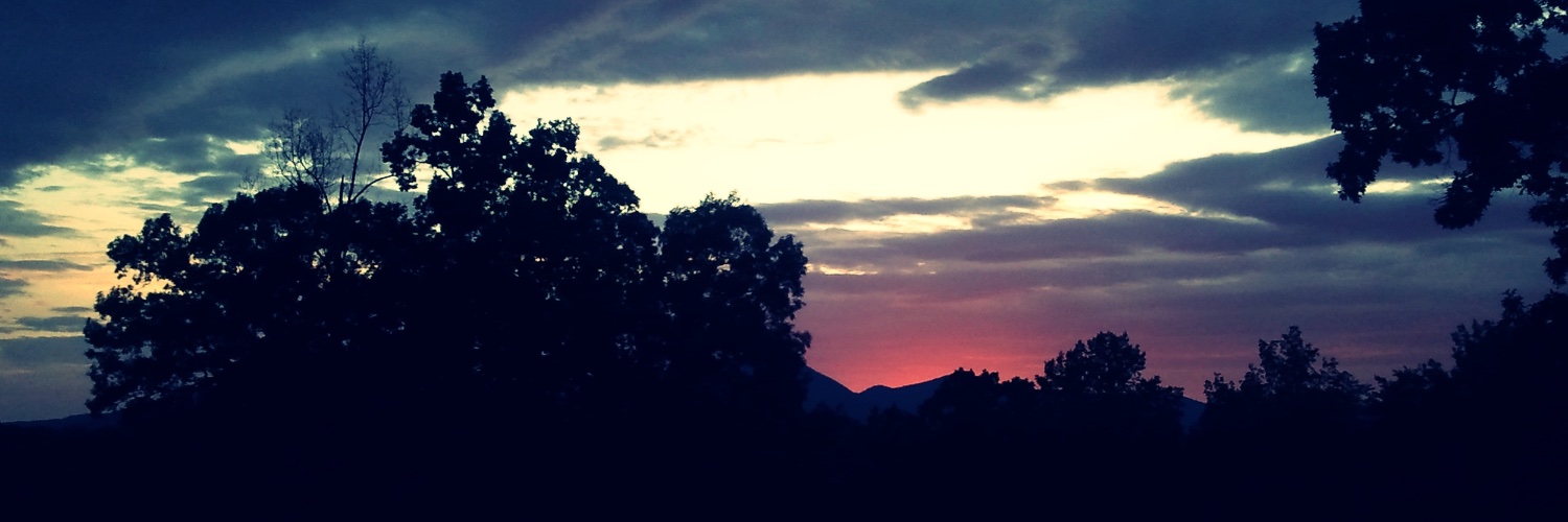 BluefireV1's profile banner image