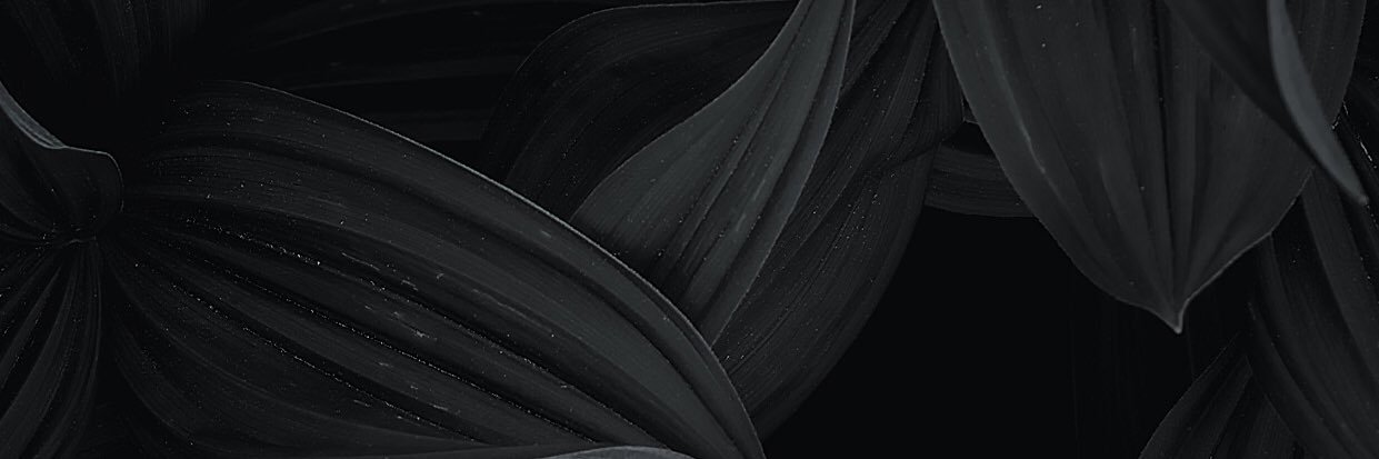 BenjaminPodis's profile banner image