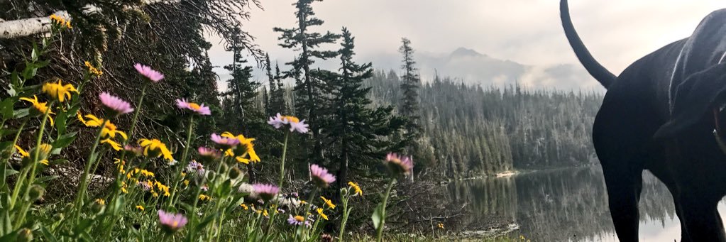 MayseeWhitney's profile banner image