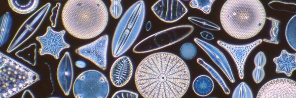 KDW0w0 Profile Banner