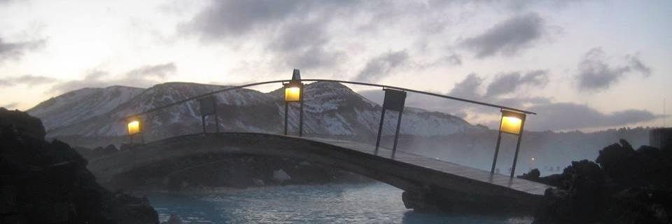 Laura Schreiber banner