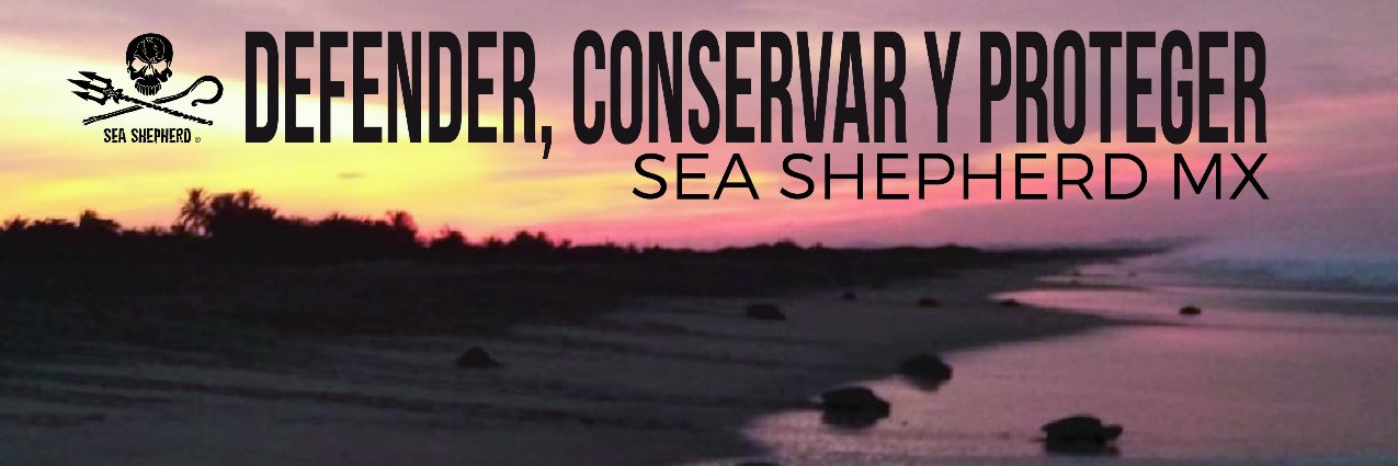 Sea Shepherd México banner
