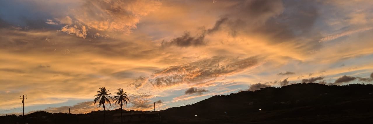 Vanilla_Beanee's profile banner image