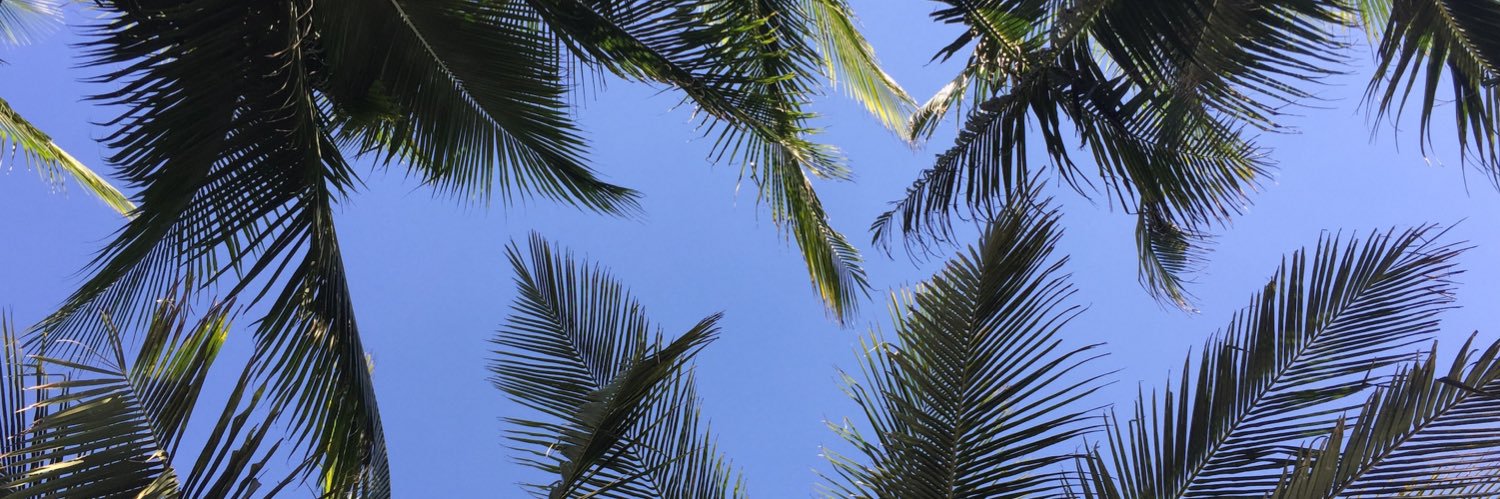 mariefl_'s profile banner image