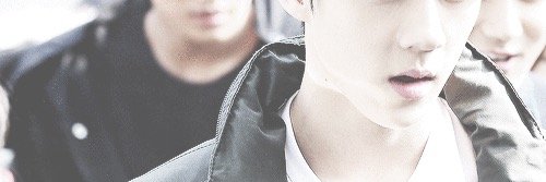 CY1127NO61's profile banner image
