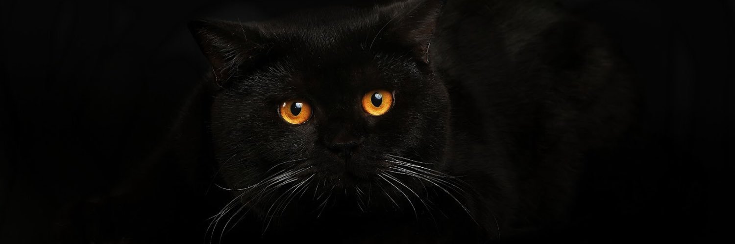 enesicious's profile banner image