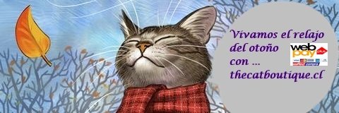 thecatboutique.cl banner