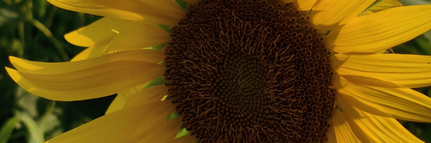 Lipetsug's profile banner image