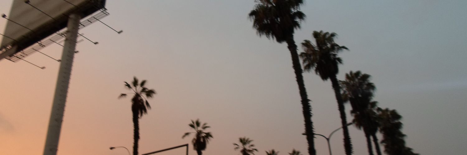 NevXIX's profile banner image