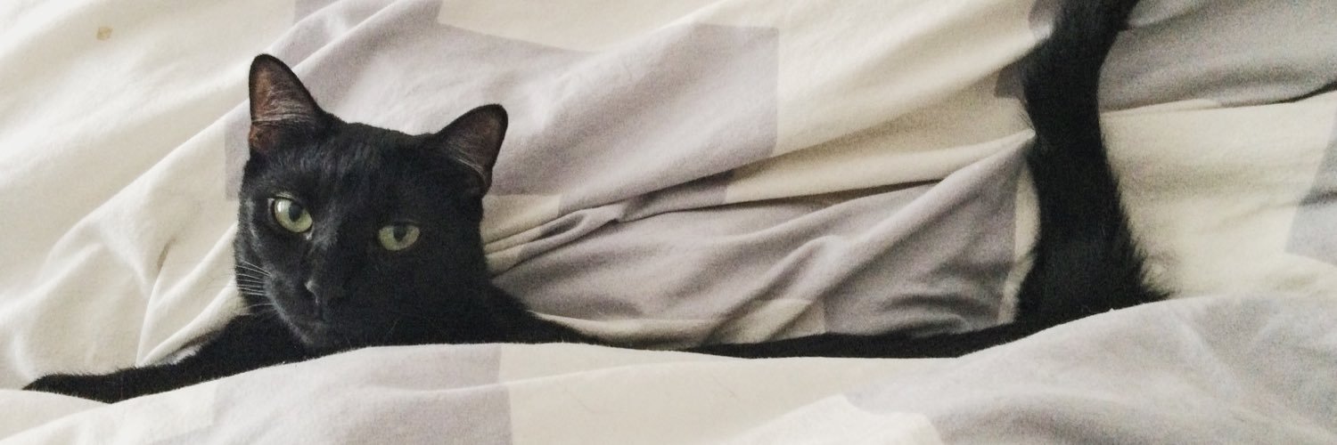 Alextrify's profile banner image