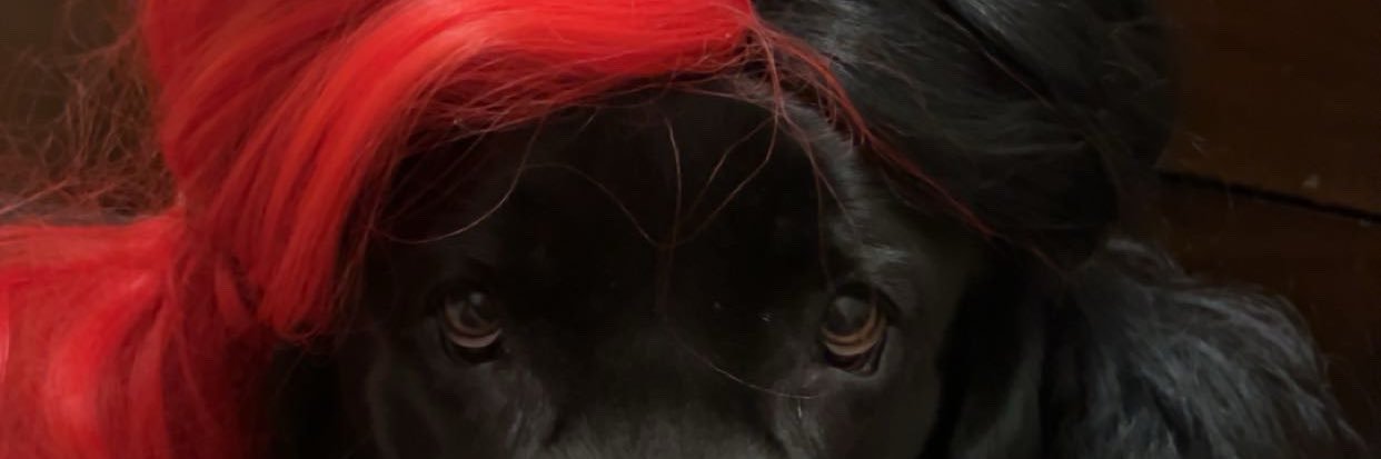 brookealicyn's profile banner image