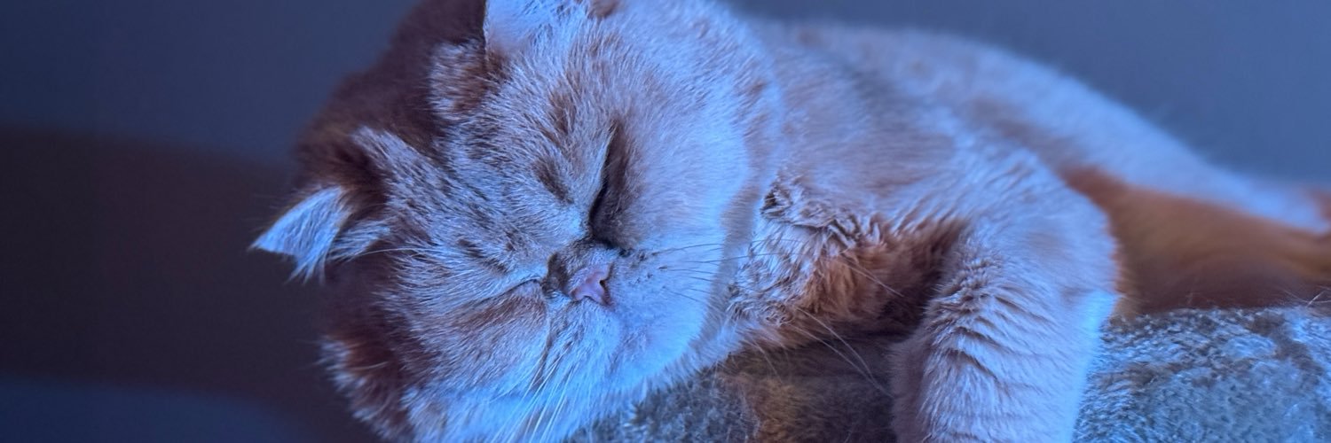 juulsvernestuff's profile banner image