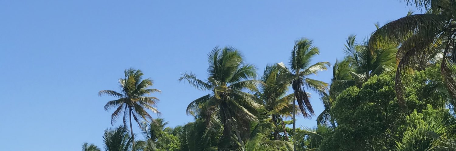 beattriznasc's profile banner image