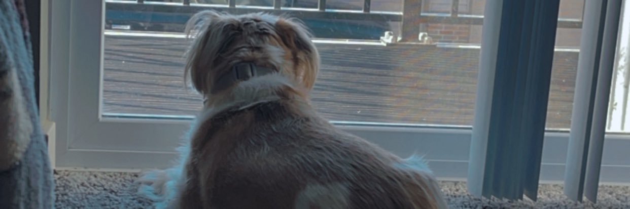 ShelbieLoved's profile banner image