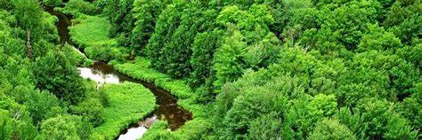 Green Party of FL 🌻 banner