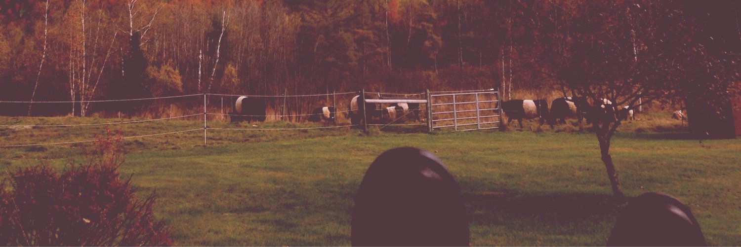 stripedapple56's profile banner image