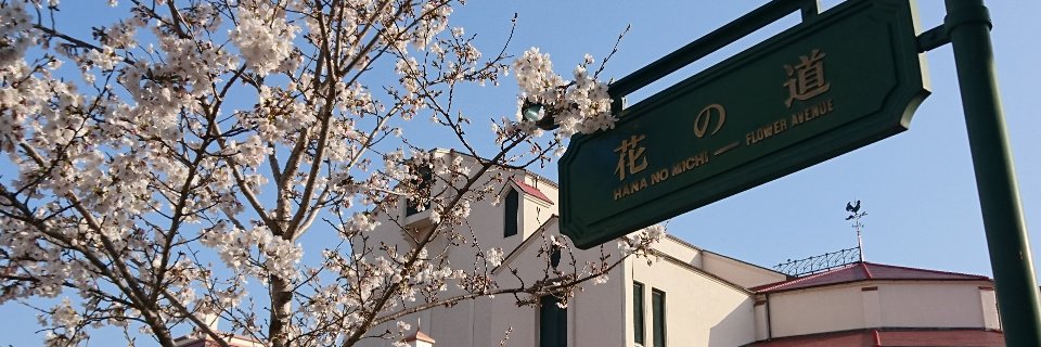 takarazukacci's profile banner image