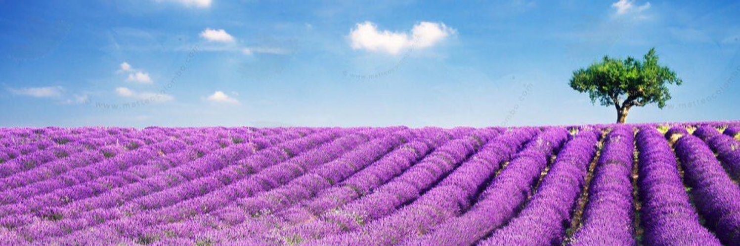 rie_ars's profile banner image