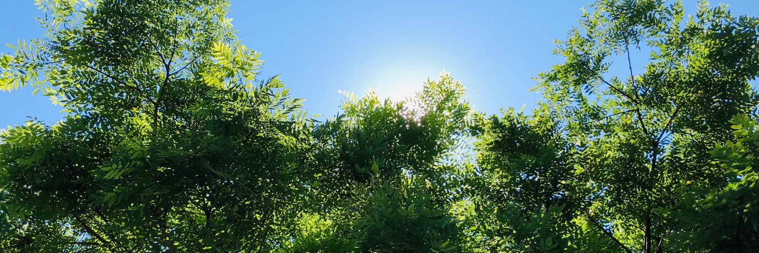 Specte_24's profile banner image