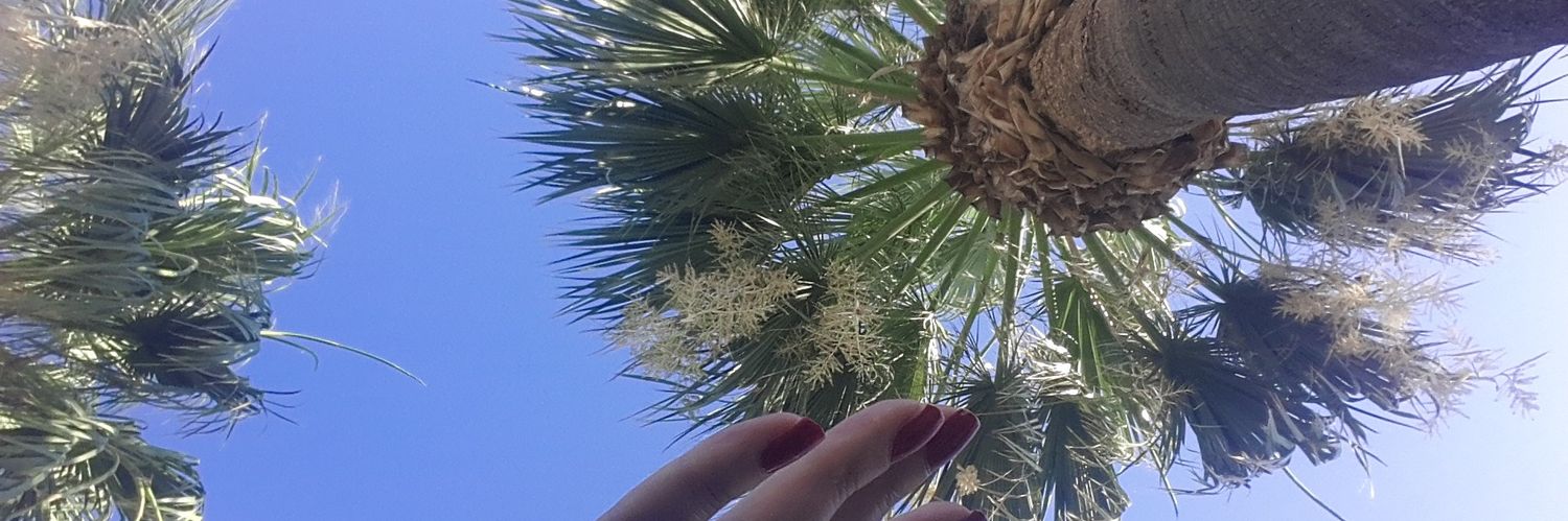 ebru_aky's profile banner image