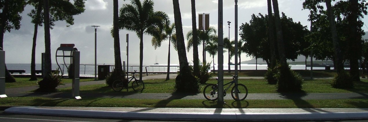 Conisberg's profile banner image