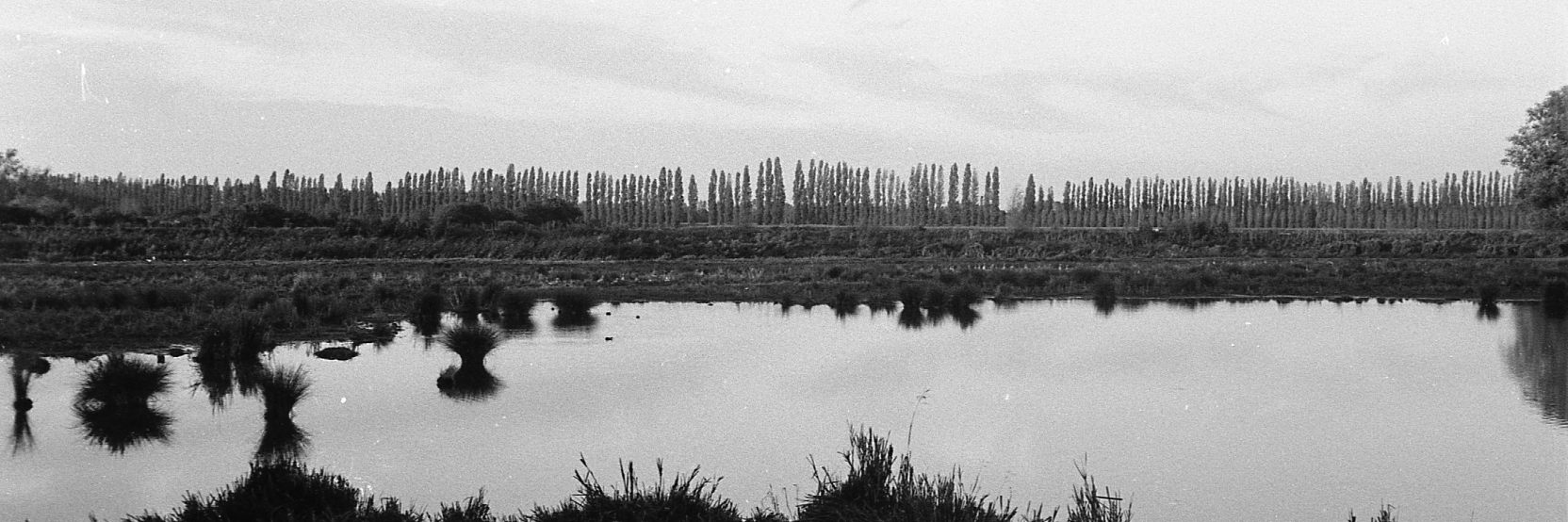 Floating Darkroom banner